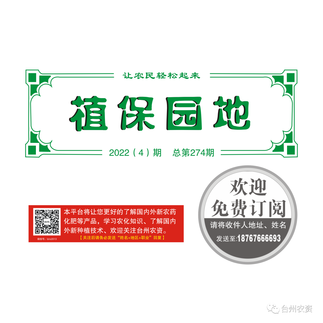 柑橘補(bǔ)鈣要趁早，裂果浮皮會減少！