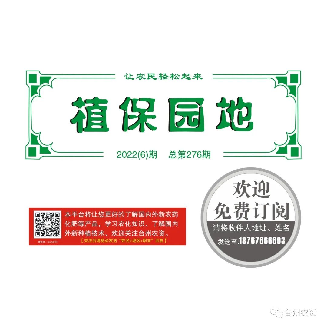 雜交水稻制種增施必奧硅、持力硼成熟期表現(xiàn)情況